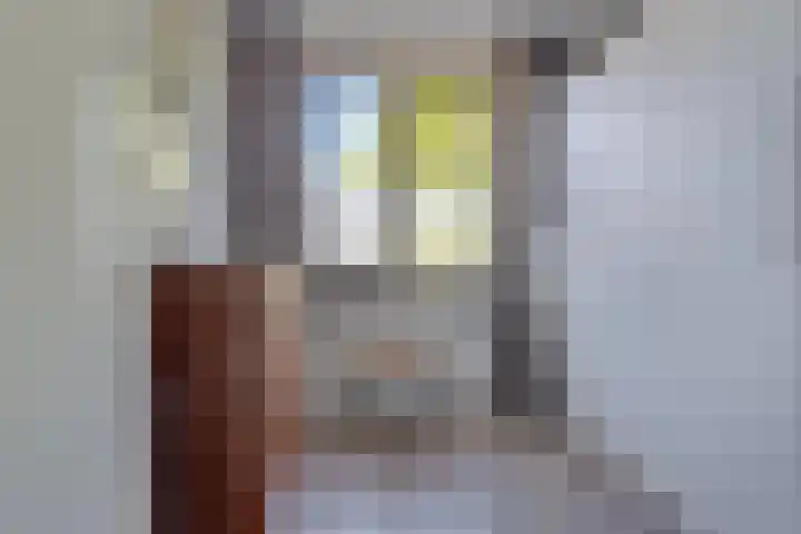 Morijnenhof 5 Schaijk thumbnail 29