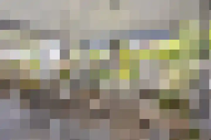 Morijnenhof 5 Schaijk thumbnail 34