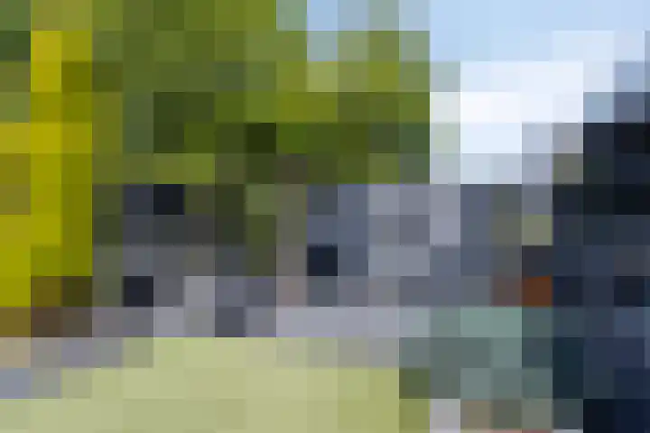 Morijnenhof 5 Schaijk thumbnail 38