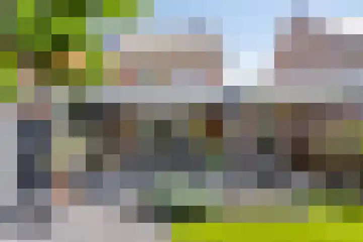 Morijnenhof 5 Schaijk thumbnail 41