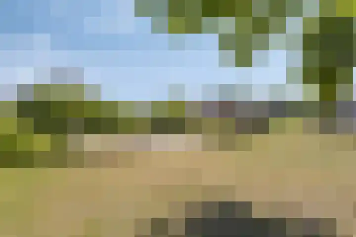 Morijnenhof 5 Schaijk thumbnail 42
