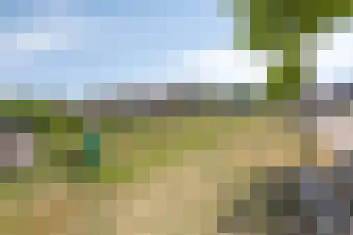 Morijnenhof 5 Schaijk thumbnail 43