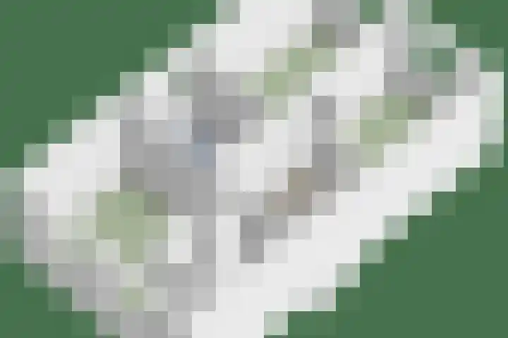 Morijnenhof 5 Schaijk thumbnail 51
