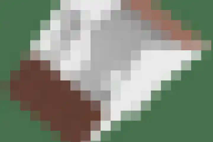 Morijnenhof 5 Schaijk thumbnail 53