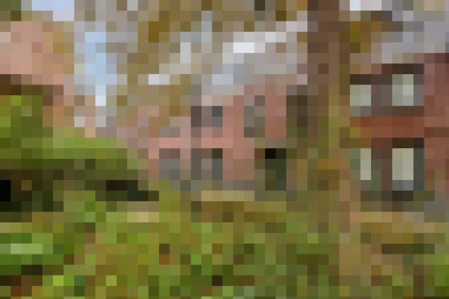 Morinnesteeg 26 Haarlem thumbnail 25
