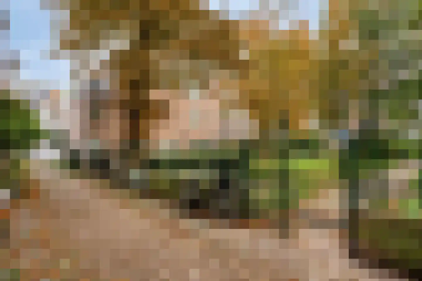Morinnesteeg 26 Haarlem thumbnail 28