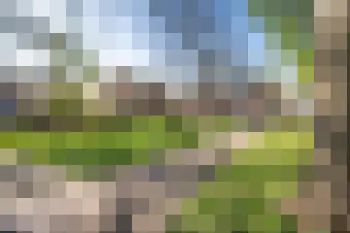 Morinnesteeg 30 Haarlem thumbnail 21