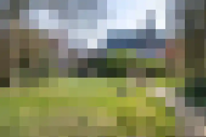 Morinnesteeg 30 Haarlem thumbnail 22