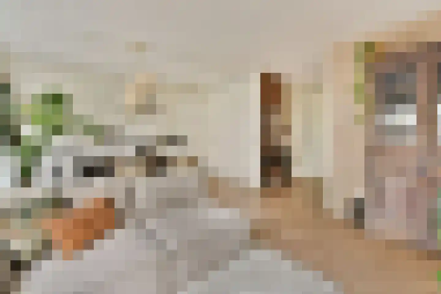 Morinnesteeg 34 Haarlem thumbnail 11