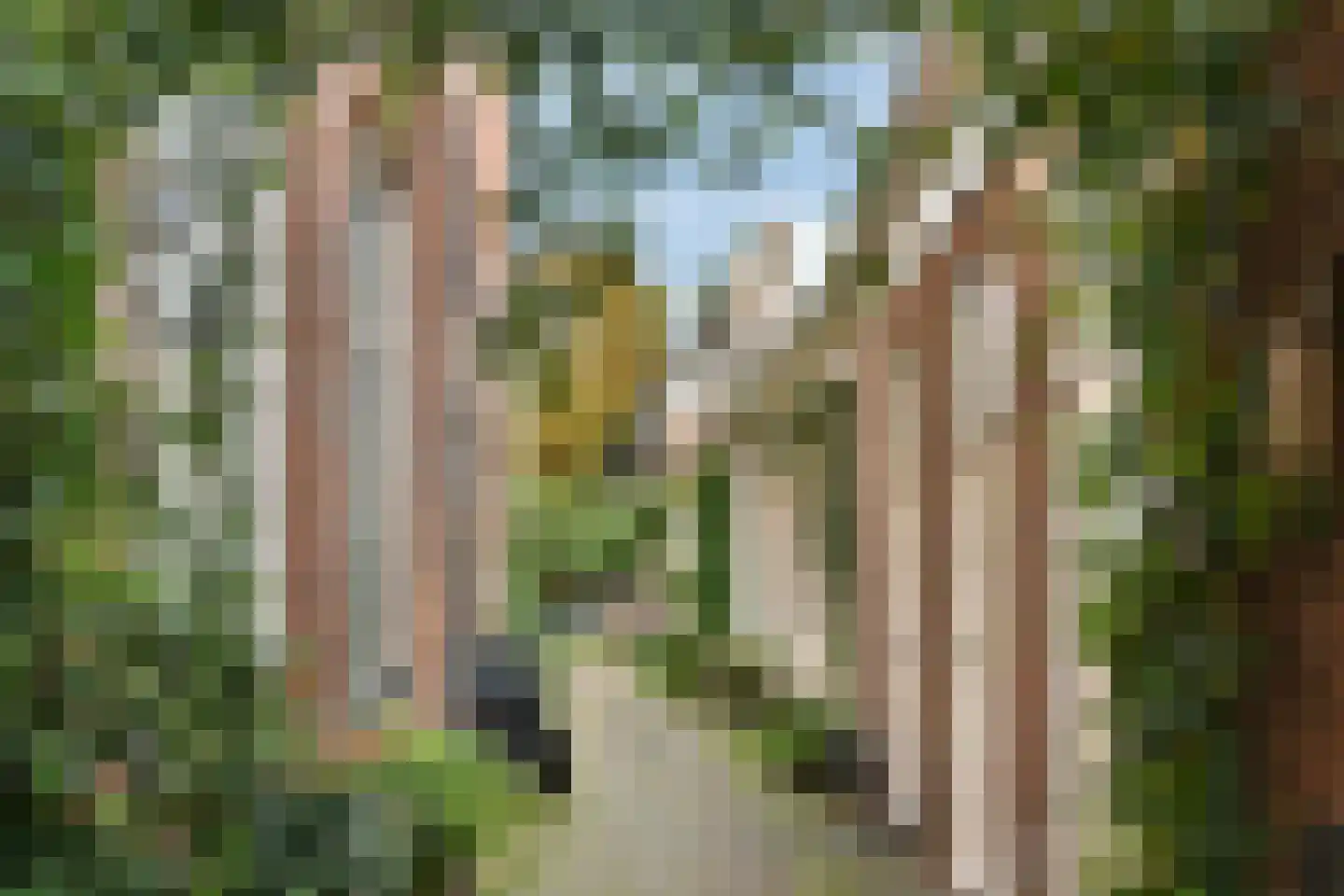 Morinnesteeg 34 Haarlem thumbnail 25