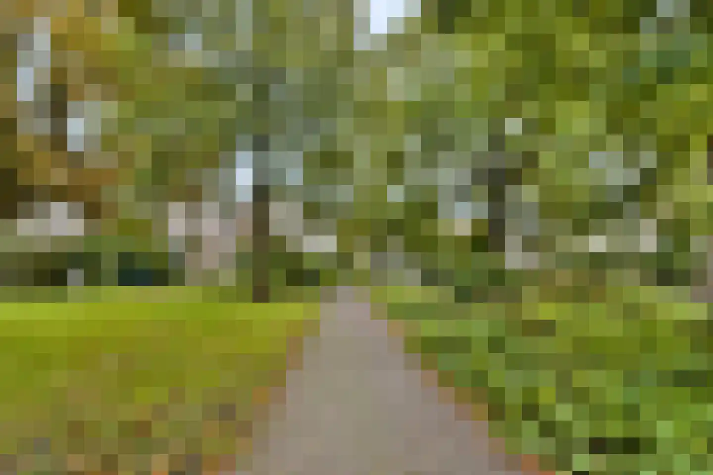 Morinnesteeg 34 Haarlem thumbnail 26