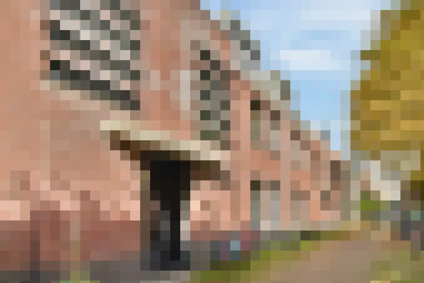 Morinnesteeg 34 Haarlem thumbnail 6