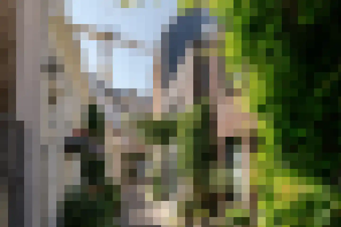 Morinnesteeg 64 Haarlem thumbnail 39
