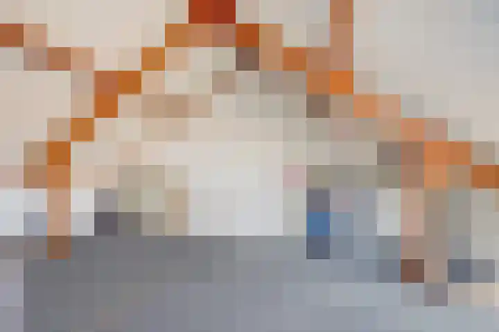 Morion 23 Venlo thumbnail 19