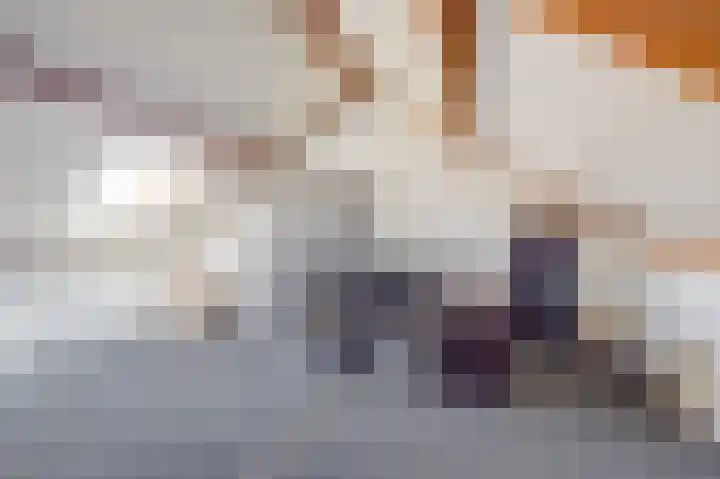 Morion 23 Venlo thumbnail 20