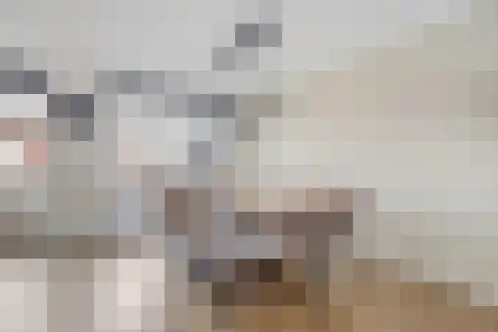 Morion 23 Venlo thumbnail 7