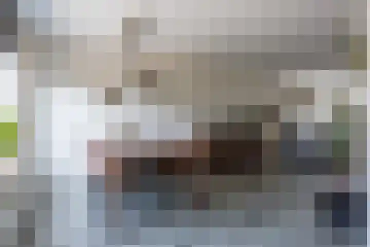 Morion 4 Venlo thumbnail 10