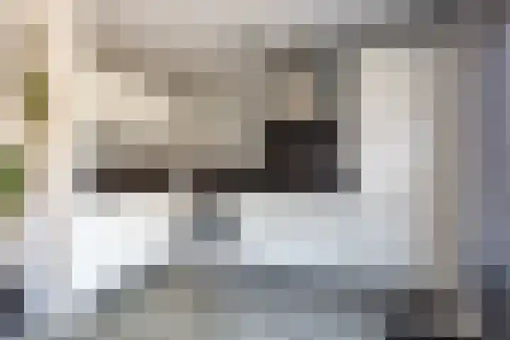 Morion 4 Venlo thumbnail 13