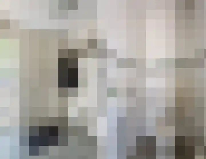 Morion 4 Venlo thumbnail 16