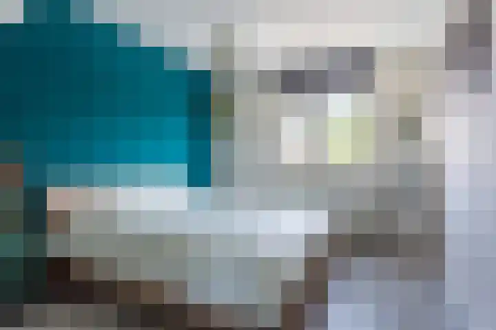 Morion 4 Venlo thumbnail 18