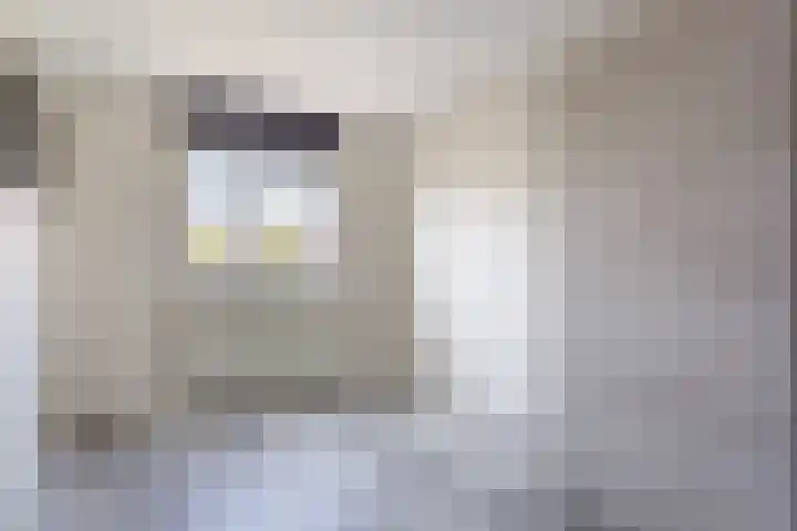 Morion 4 Venlo thumbnail 23