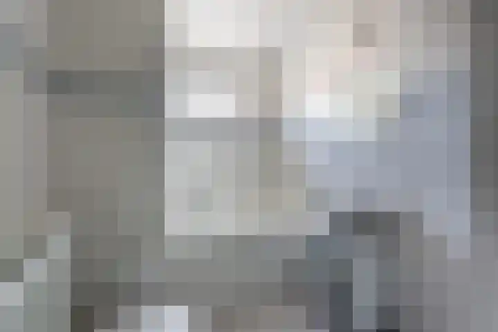 Morion 4 Venlo thumbnail 26