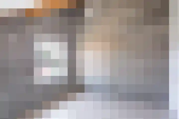 Morion 4 Venlo thumbnail 29