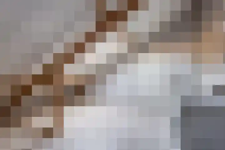 Morion 4 Venlo thumbnail 30