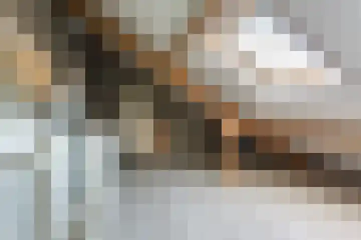 Morion 4 Venlo thumbnail 32