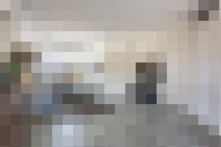 Morion 4 Venlo thumbnail 4