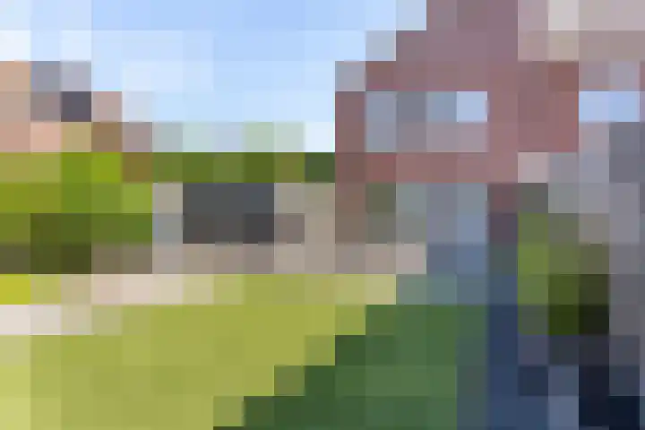 Morion 4 Venlo thumbnail 41