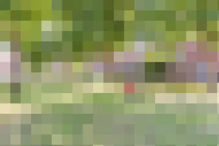 Morion 4 Venlo thumbnail 43