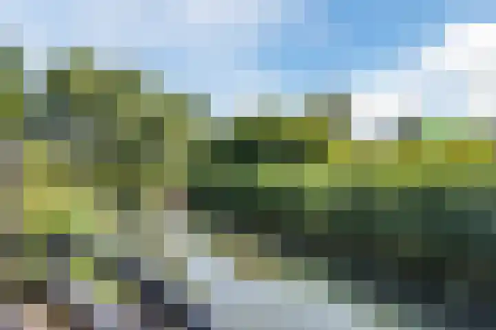 Morion 4 Venlo thumbnail 46