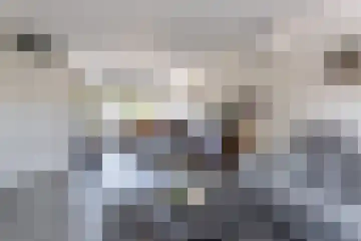 Morion 4 Venlo thumbnail 6