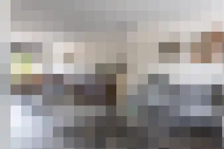Morion 4 Venlo thumbnail 7
