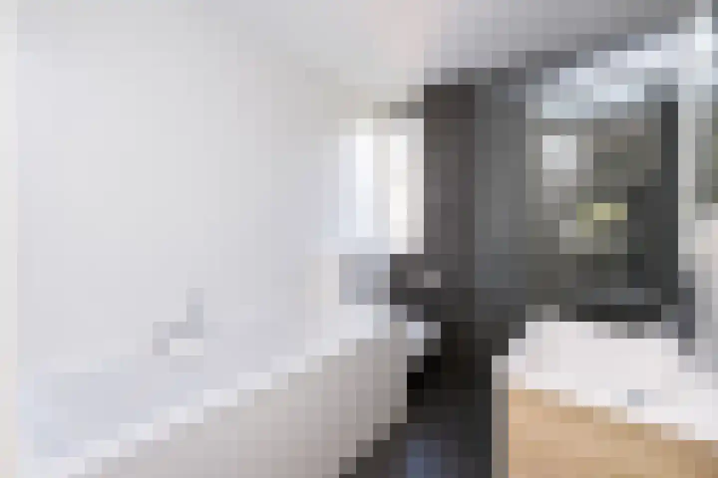 Morleystraat 18 Zwolle thumbnail 19