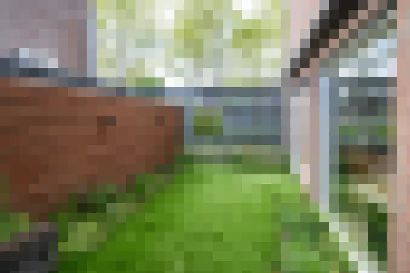 Morleystraat 18 Zwolle thumbnail 29
