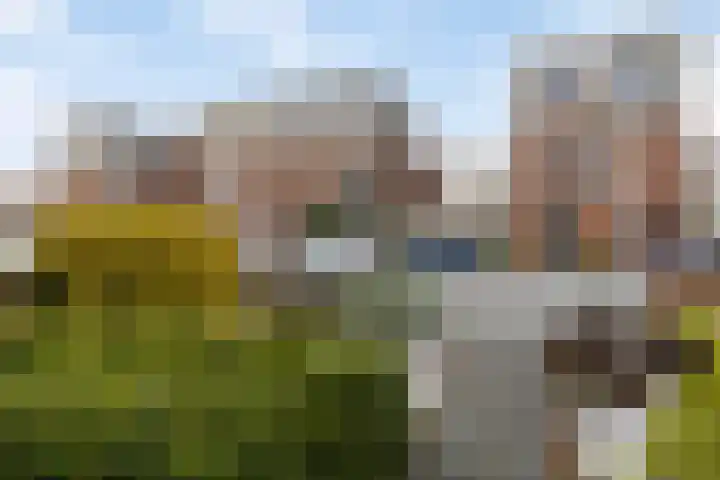 Morleystraat 3 Zwolle thumbnail 12