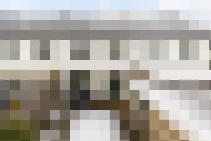 Morleystraat 3 Zwolle thumbnail 31