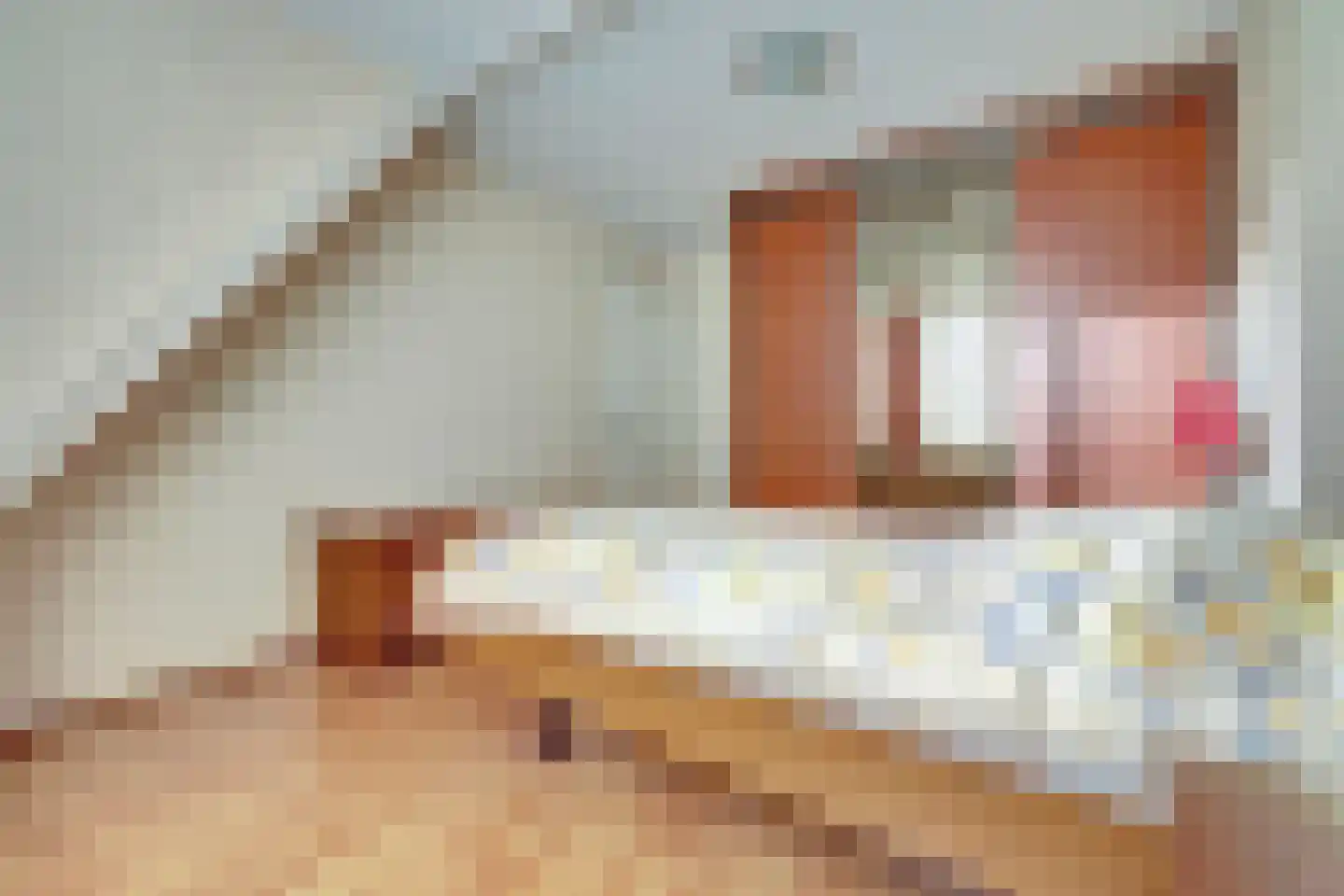 Morlodehof 20 Krabbendijke thumbnail 15