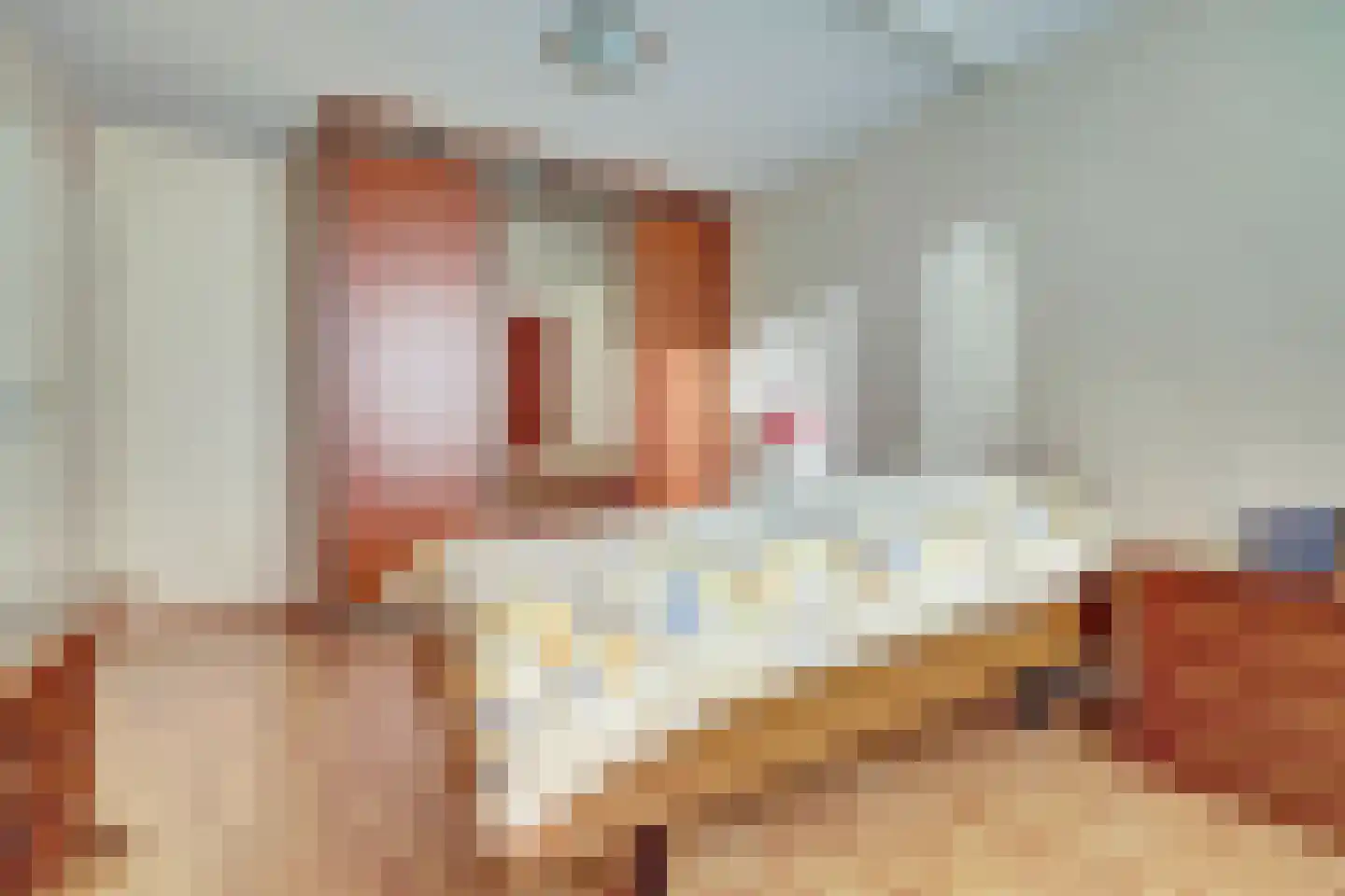 Morlodehof 20 Krabbendijke thumbnail 16