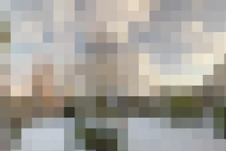 Morlodehof 20 Krabbendijke thumbnail 34