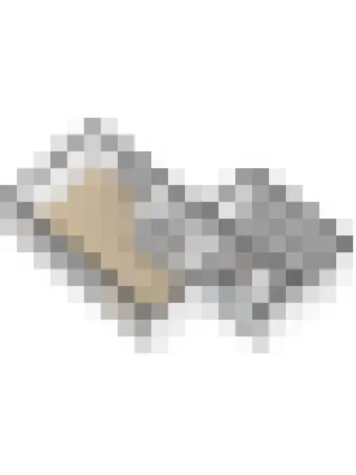 Morlodehof 20 Krabbendijke thumbnail 54
