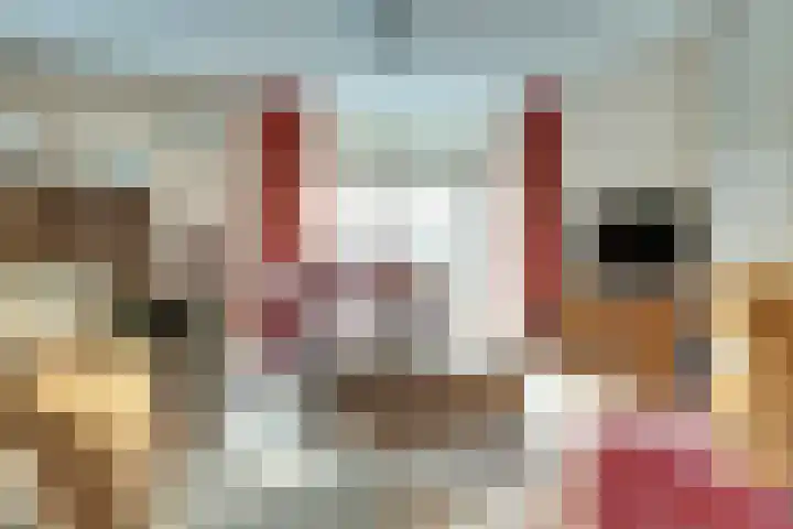 Morlodehof 20 Krabbendijke thumbnail 6