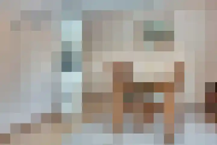 Morlodehof 20 Krabbendijke thumbnail 9