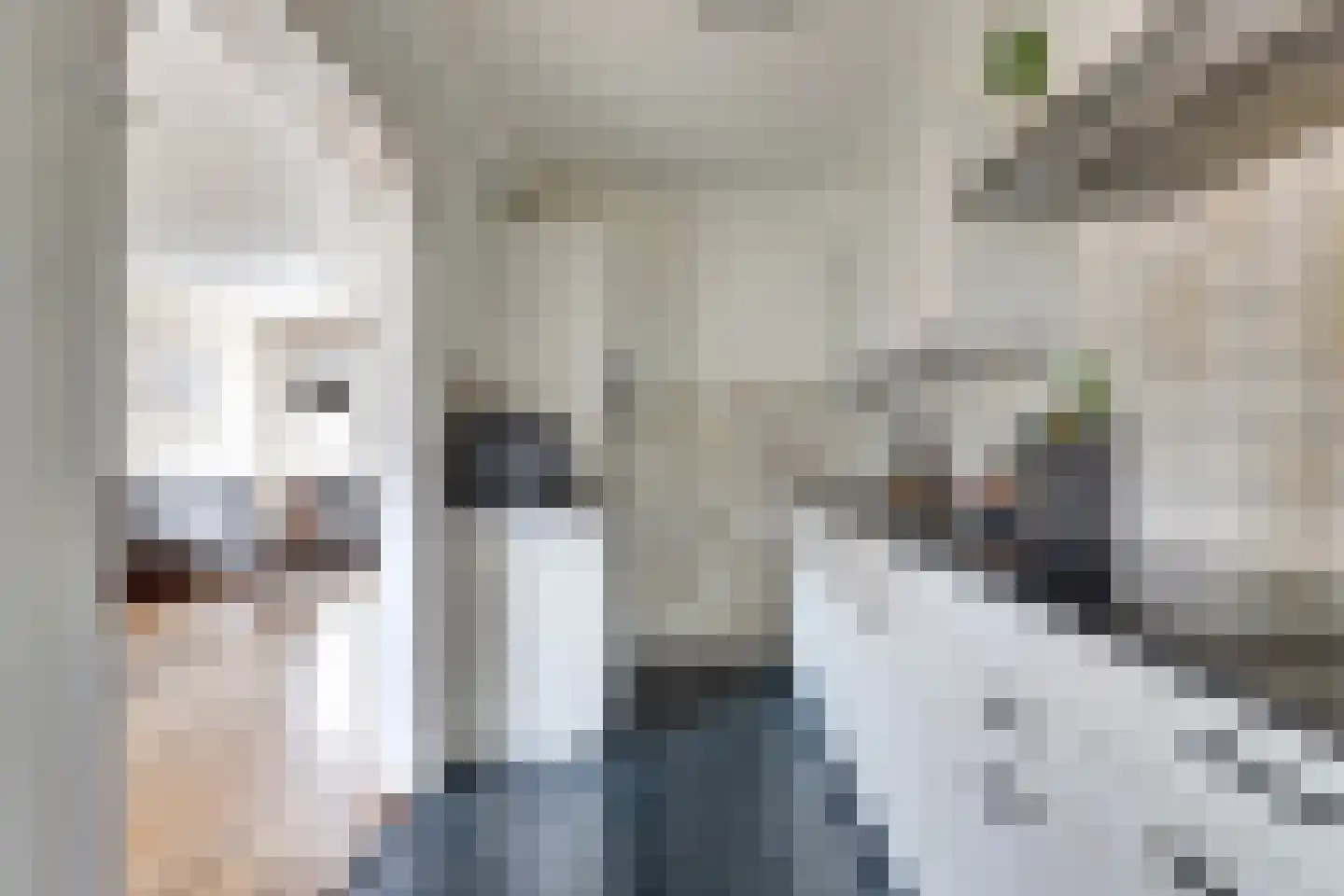 Morlodestraat 10 Krabbendijke thumbnail 11