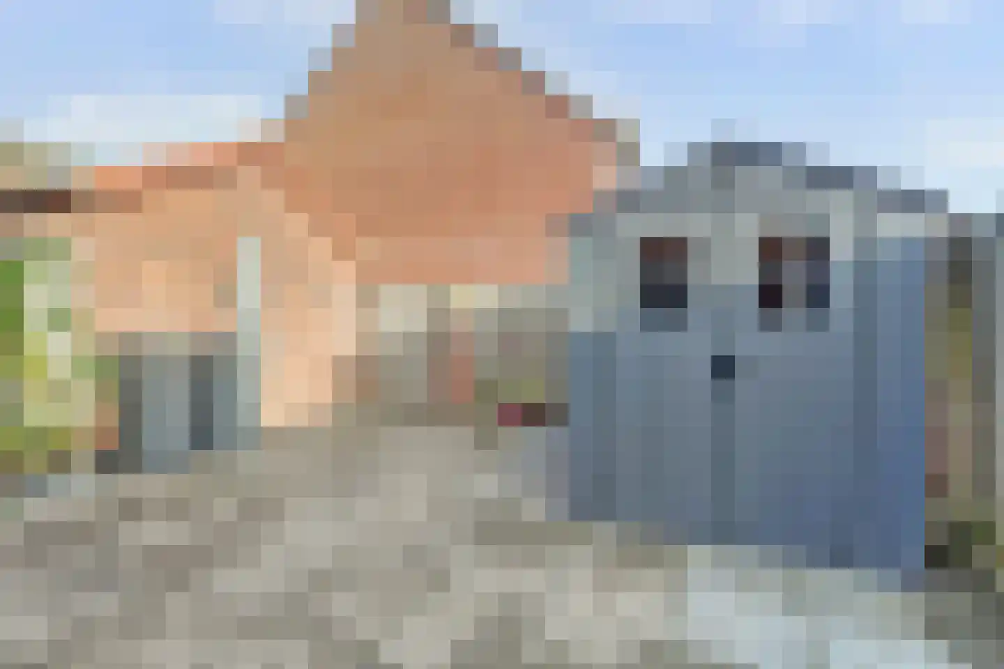 Morlodestraat 10 Krabbendijke thumbnail 28