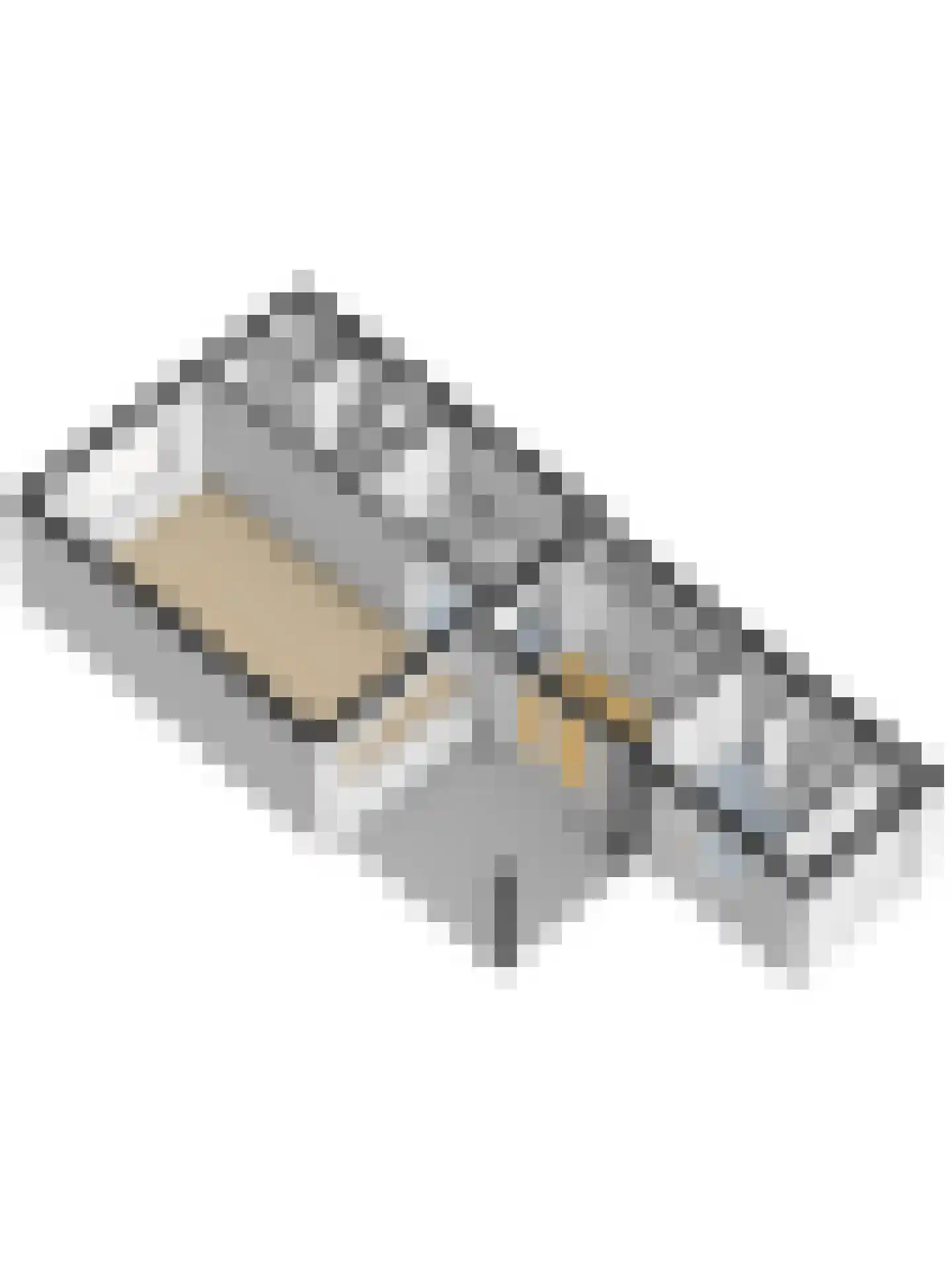 Morlodestraat 10 Krabbendijke thumbnail 38