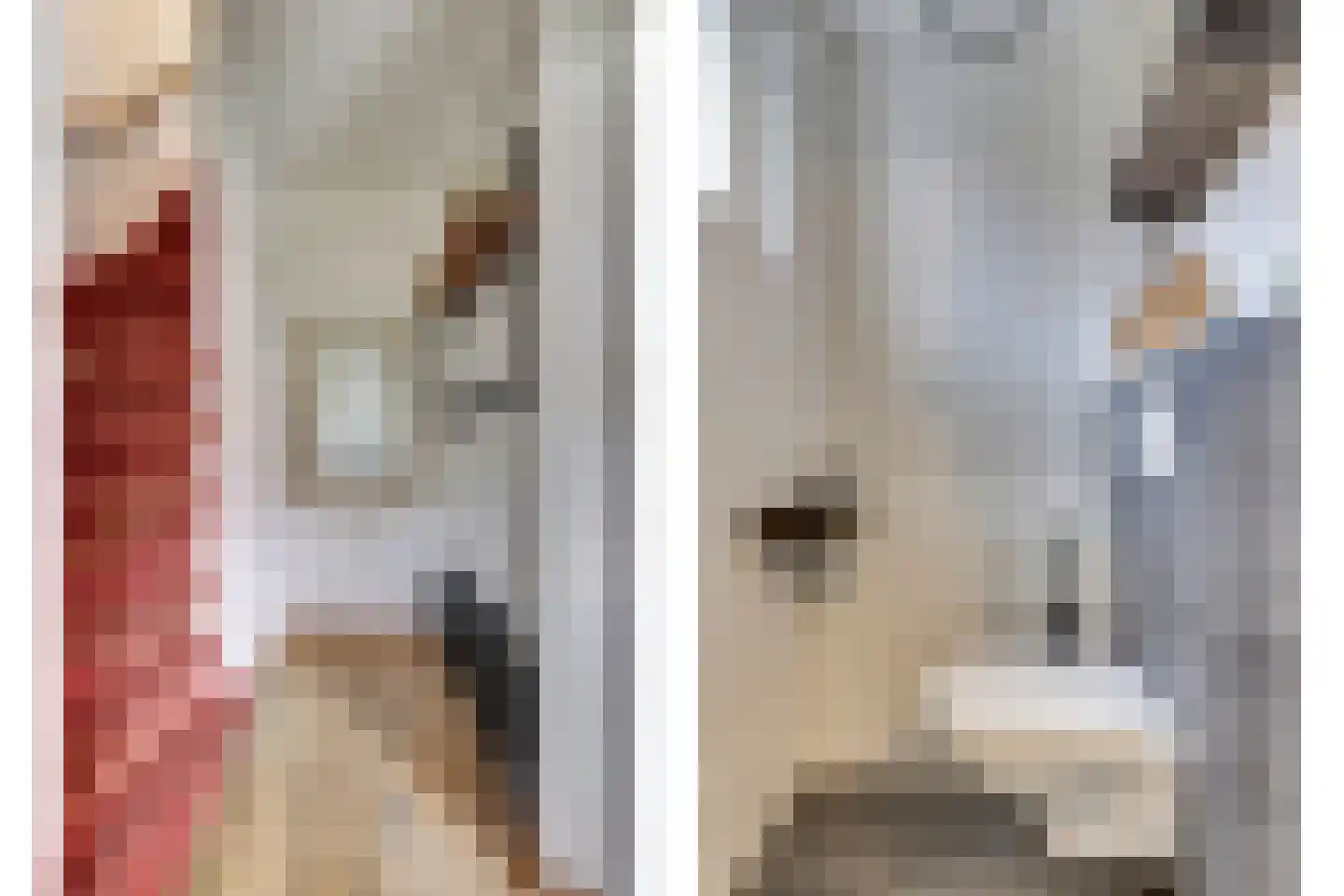 Morlodestraat 10 Krabbendijke thumbnail 4
