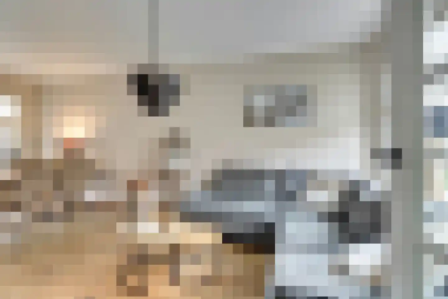 Morlodestraat 10 Krabbendijke thumbnail 7